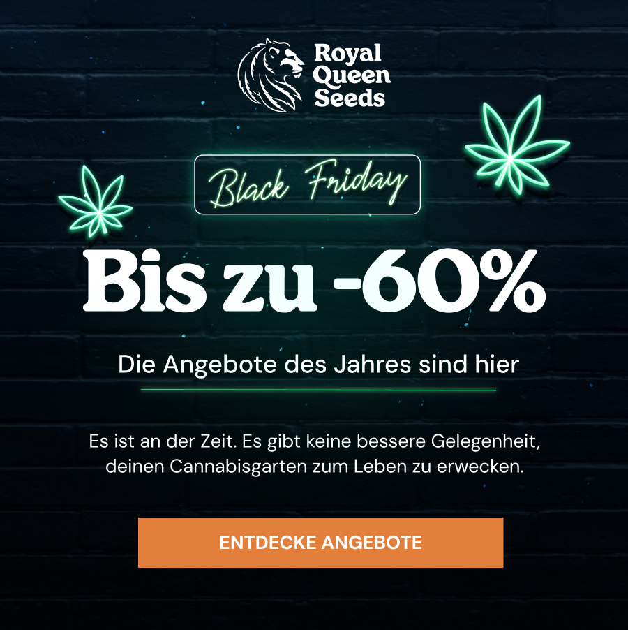 Bis zu 60%